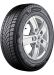 Bridgestone DURAVIS VAN WINTER