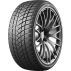 GT Radial Winterpro2sport